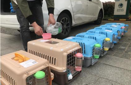 成都至全國各地寵物空運