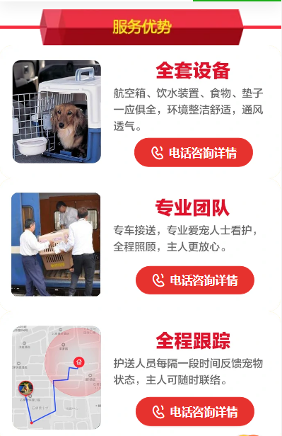 成都寵物空運優勢