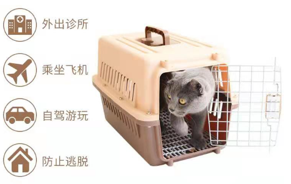 寵物空運是怎么才能少受點傷害？